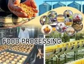 Certificate in Food Processing Technology