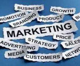 Diploma in Marketing and Brand Management