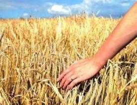 Certificate in Rural Governance and Development Administration